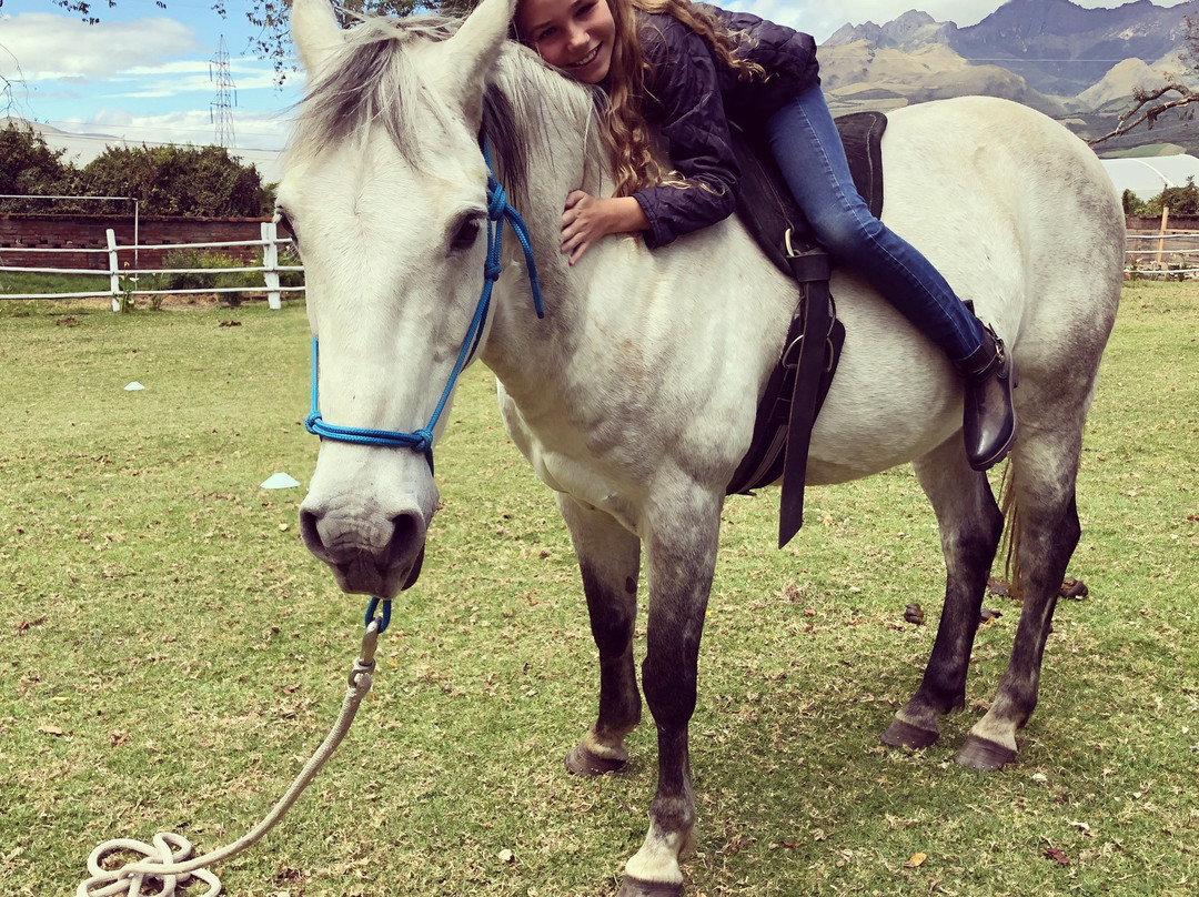 Mira Andes Ecuador-Machachi必去景点