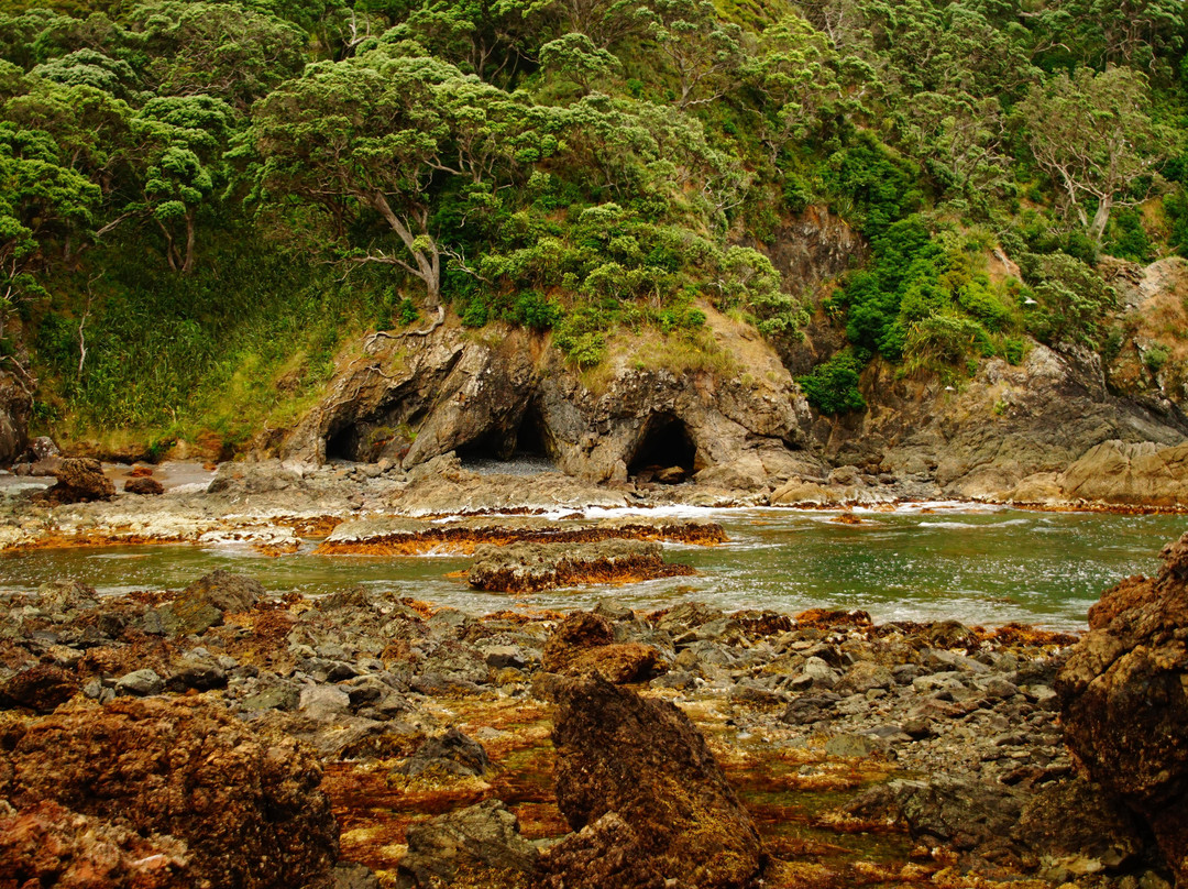The Guesthouse at Taiharuru Farms Lodge主图