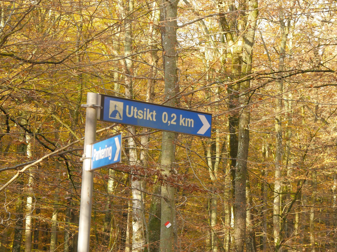 Balsberget Och Balsbergsgrottan-Kristianstad必去景点