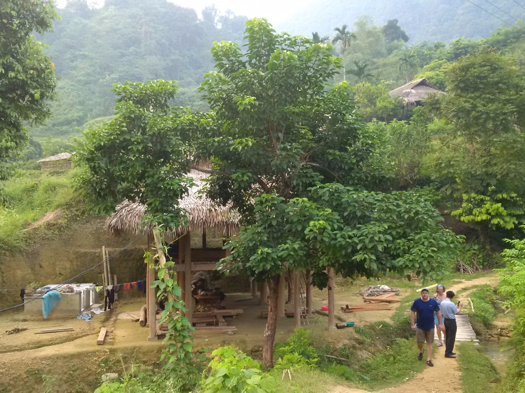 Pu Luong Trekking Tours景点图片