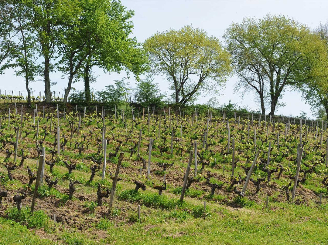 Domaine de Chastelet