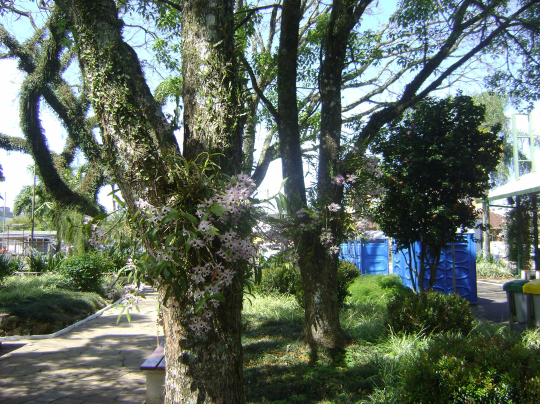 Praca do Imigrante-Dois Irmaos必去景点