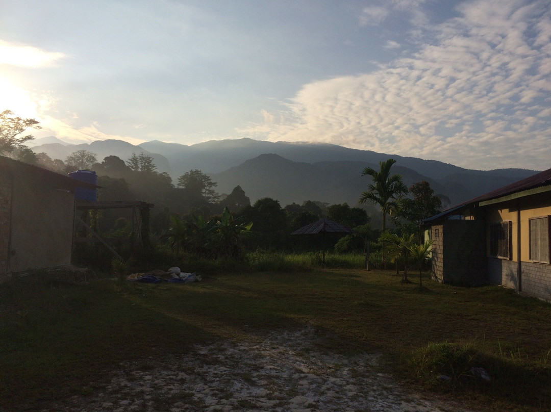 Gunung Mulu Summit Trek-姆鲁国家公园必去景点