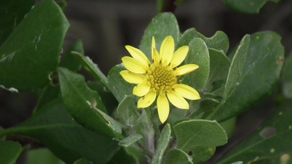 Nahoon Estuary Nature Reserve-东伦敦必去景点
