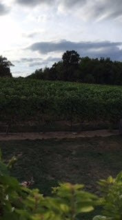 Lost Acres Vineyard-Granby必去景点