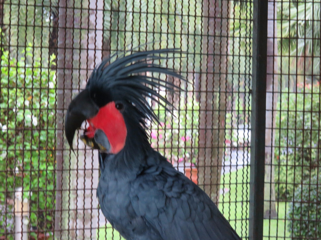 Suanpalm Farmnok景点图片