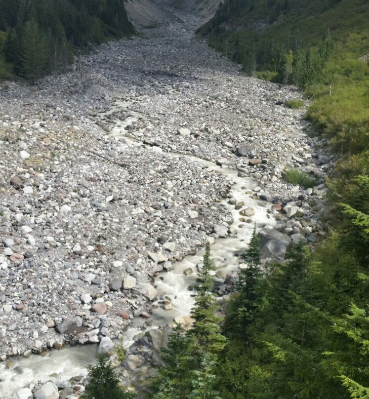Nisqually River景点图片