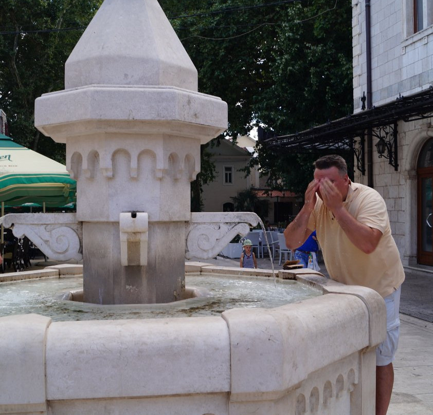 Fountain of Goiko Shishkovich-特雷比涅必去景点