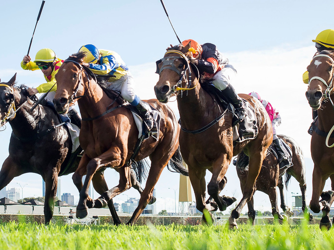Belmont Park Racecourse景点图片