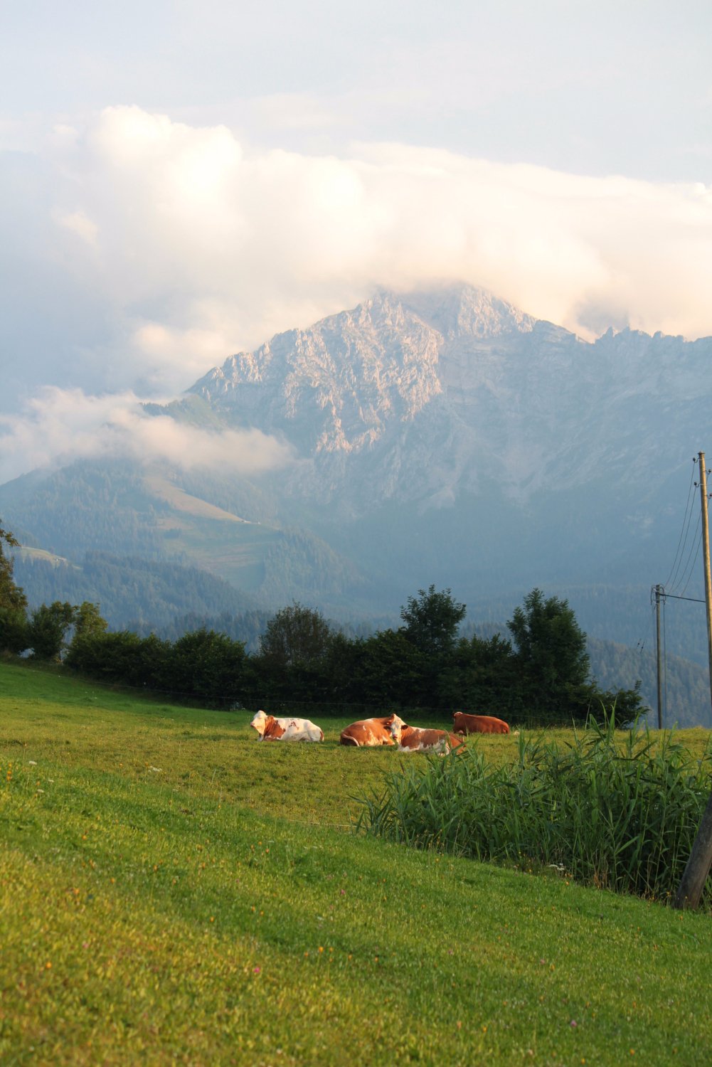 Gastehaus Larcheck-酒店景观