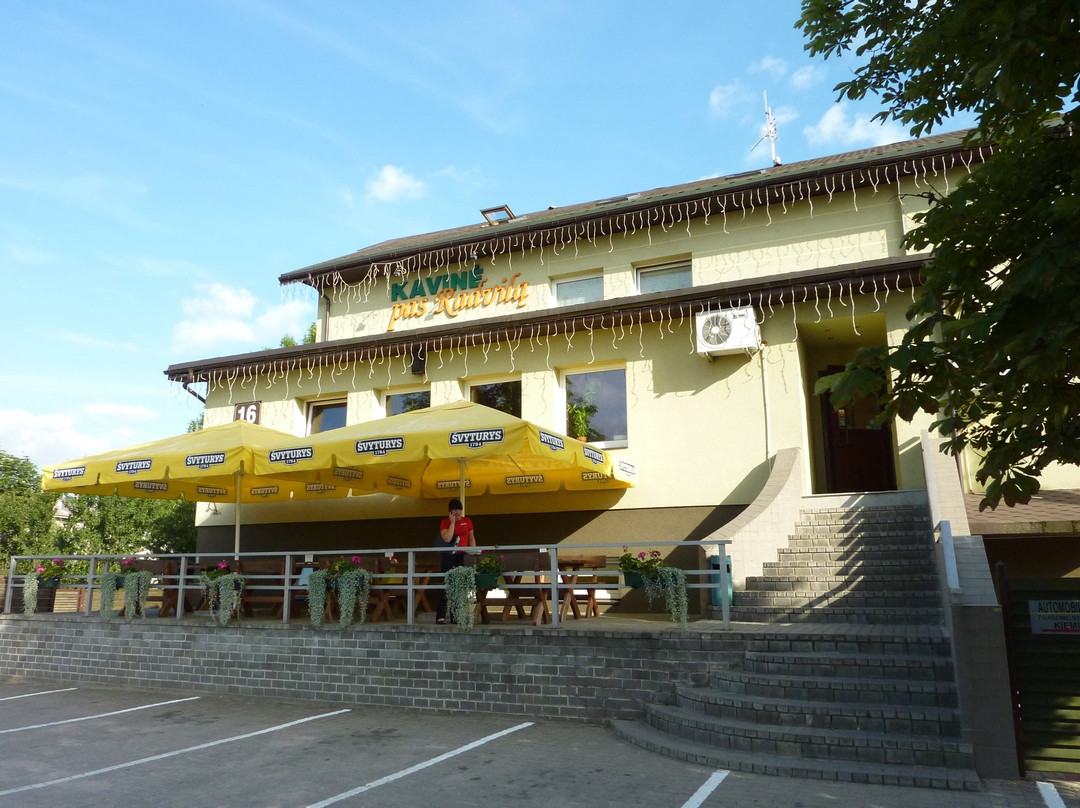 Kaisiadorys旅游攻略图片