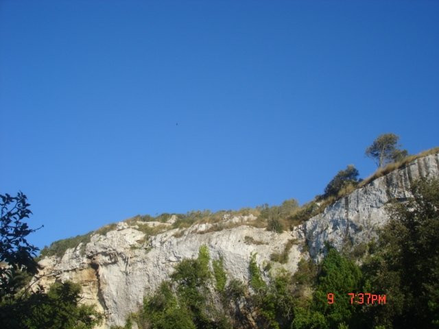 Ferreries旅游景点-Barranc d'Algendar