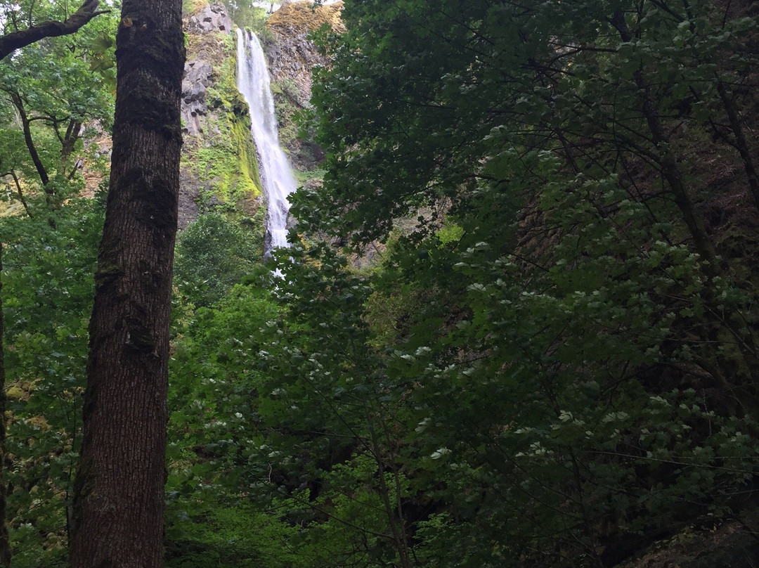 Starvation Creek Ridge Loop-Cascade Locks必去景点