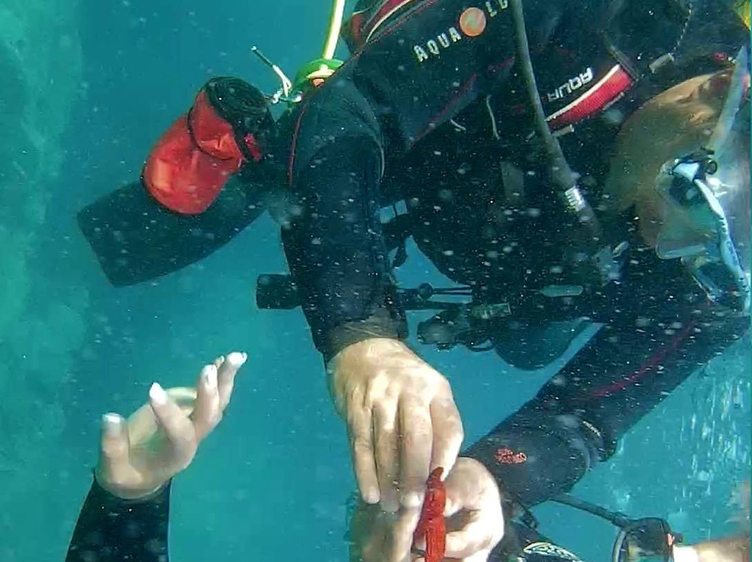 Dossotaigua Dive Center-普拉特哈达罗必去景点