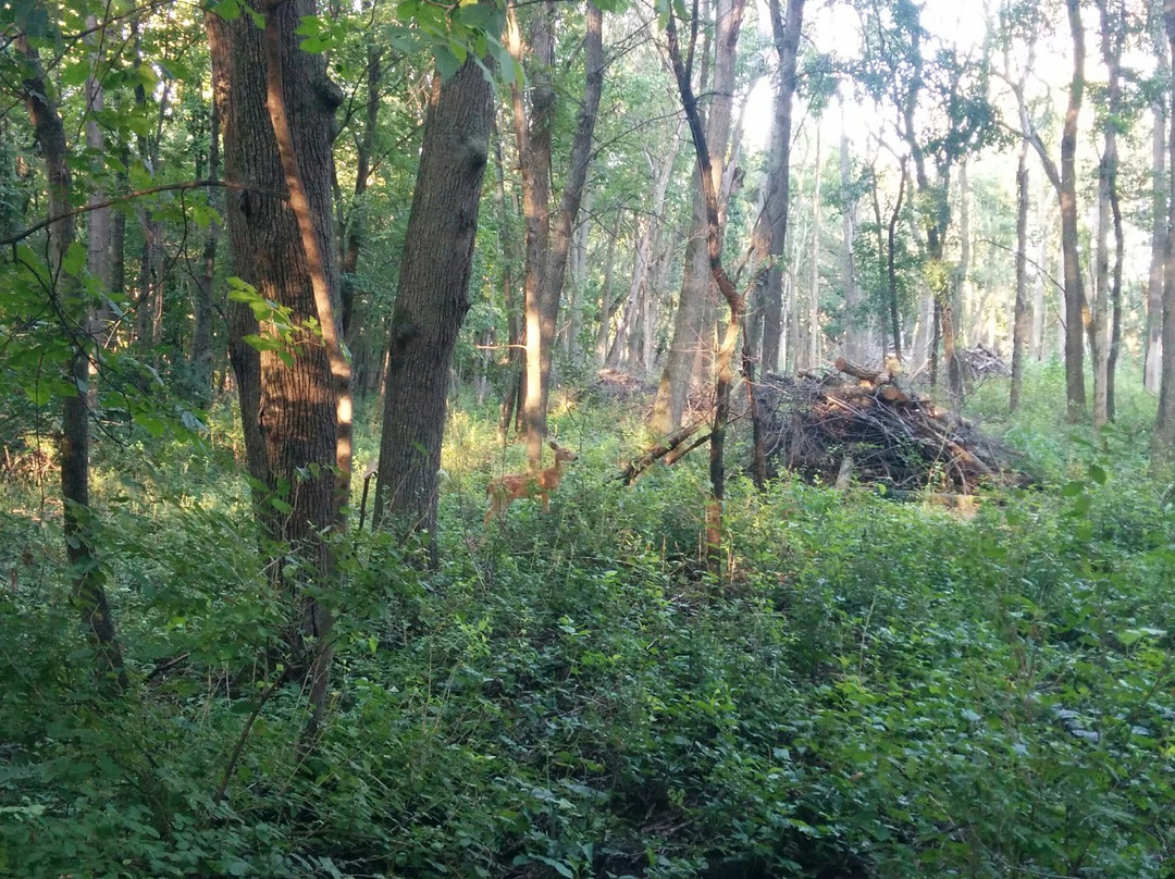 Assisi Heights-罗切斯特必去景点