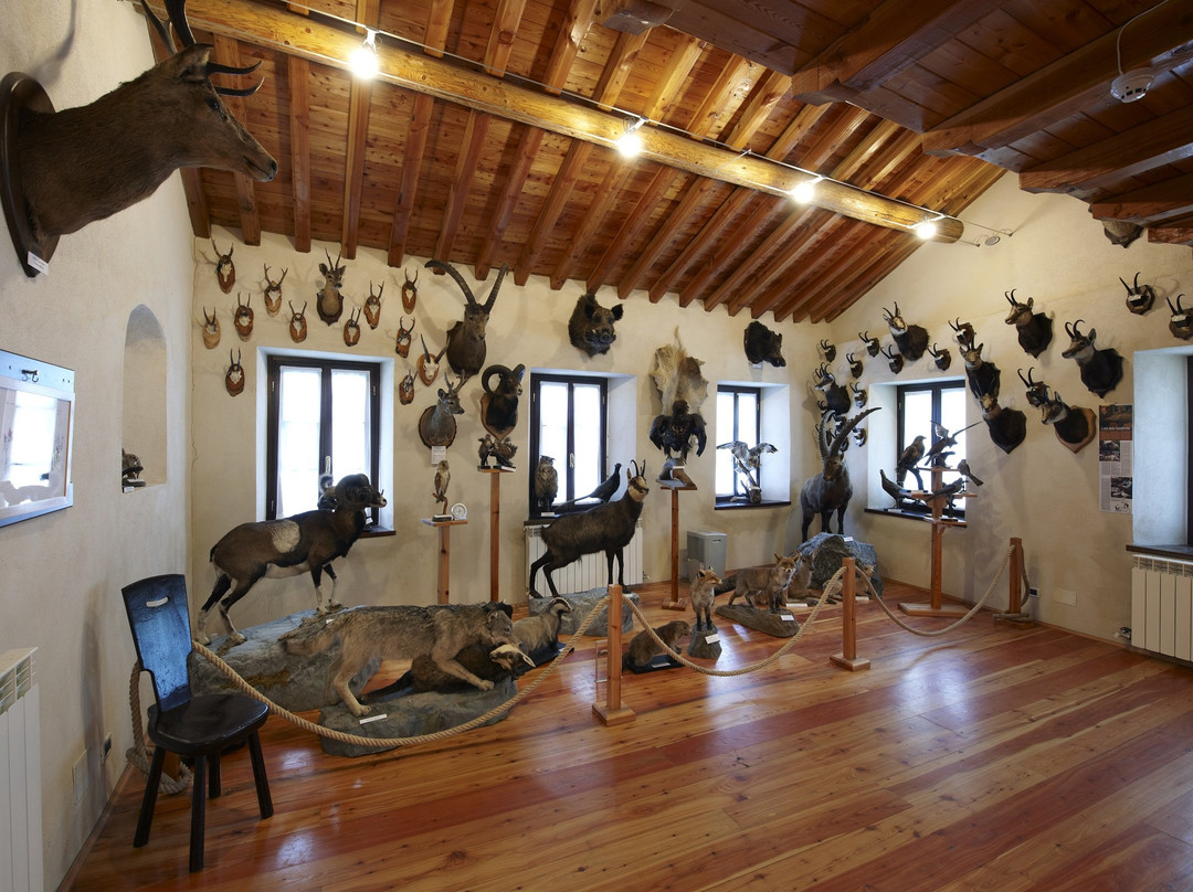 Museo Civico Alpino "Arnaldo Tazzetti"景点图片