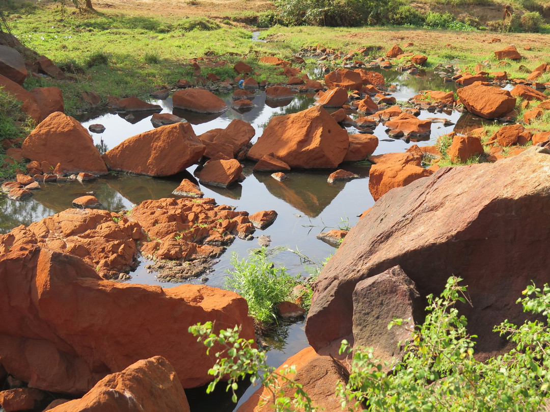 Maduru Oya National Park景点图片