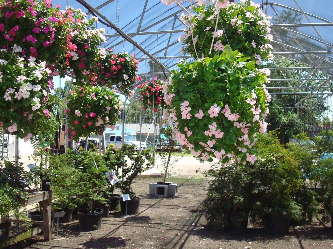 Good Earth-奥古斯塔必去景点