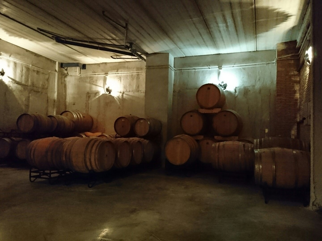Bodega Monastrell-Bullas必去景点