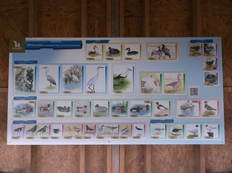 Site Ornithologique des Cinq Tailles景点图片
