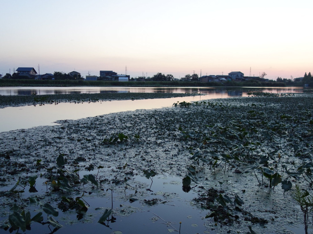 Fukushimagata-新泻市必去景点