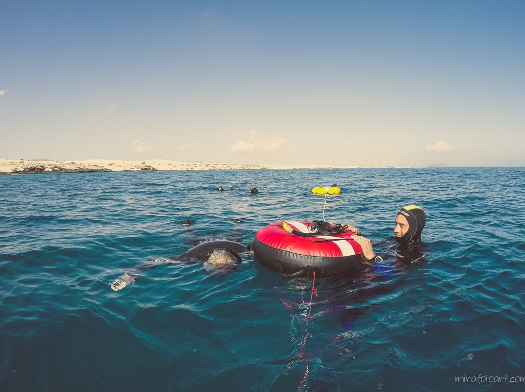 MAGMA Freediving School-拉哈雷斯必去景点