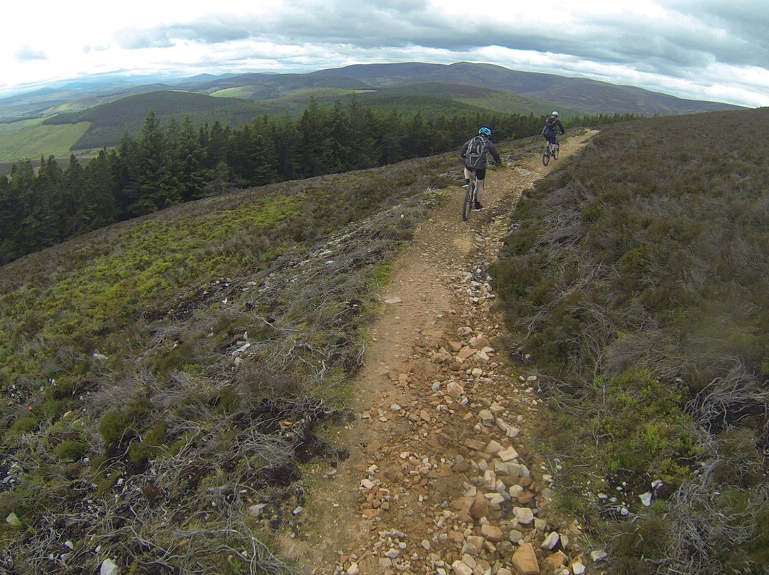 Glenlivet Mountain Bike Trails-Tomintoul必去景点