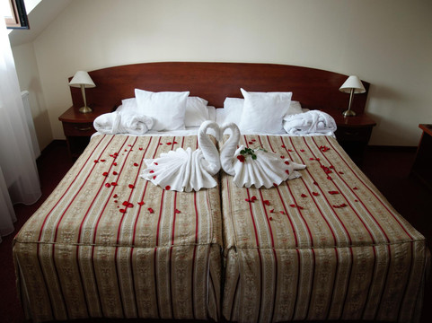 Lazne Libverda酒店住宿-Le Mont Medical & SPA