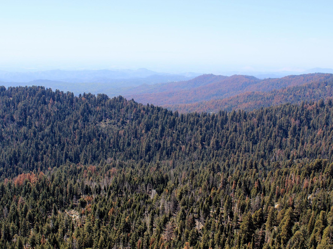 Buena Vista Peak Trail-红杉&国王峡谷国家公园必去景点