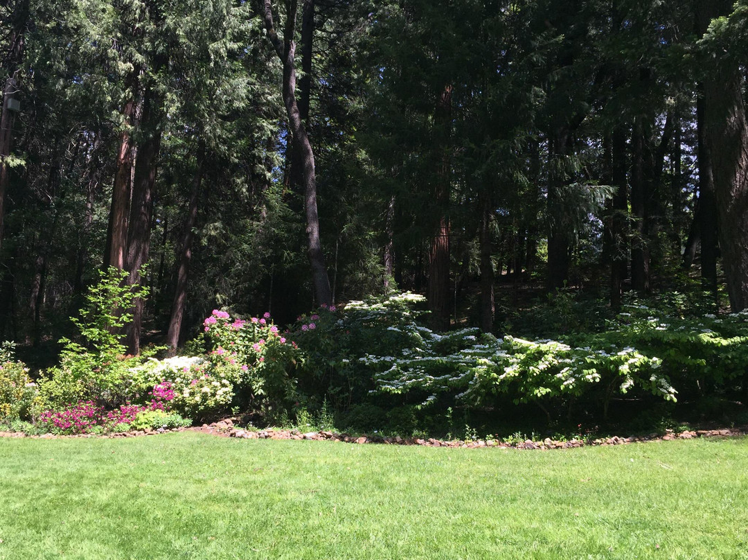 Dunsmuir Botanical Gardens景点图片