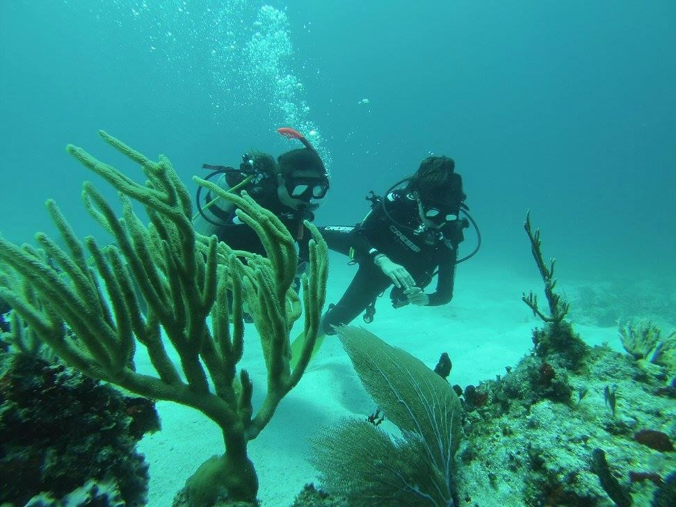 Manatus Mexico-从莫雷洛斯港必去景点