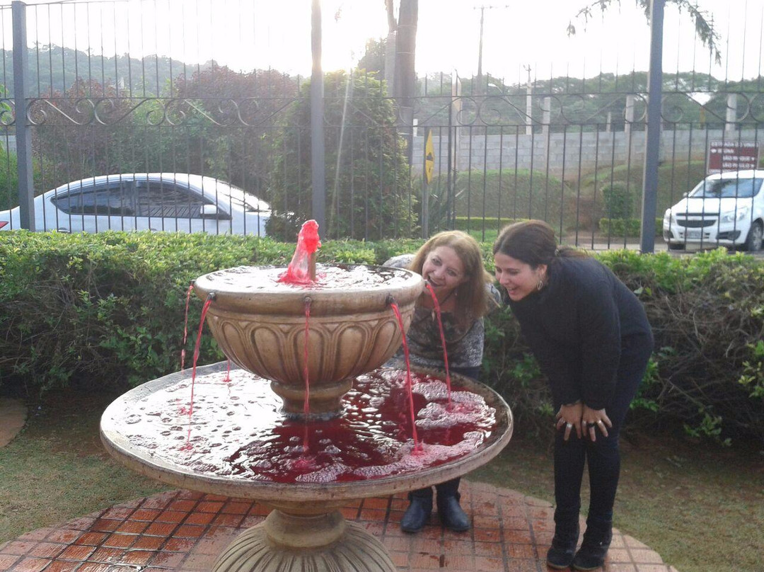 Wine Museum-Sao Roque必去景点