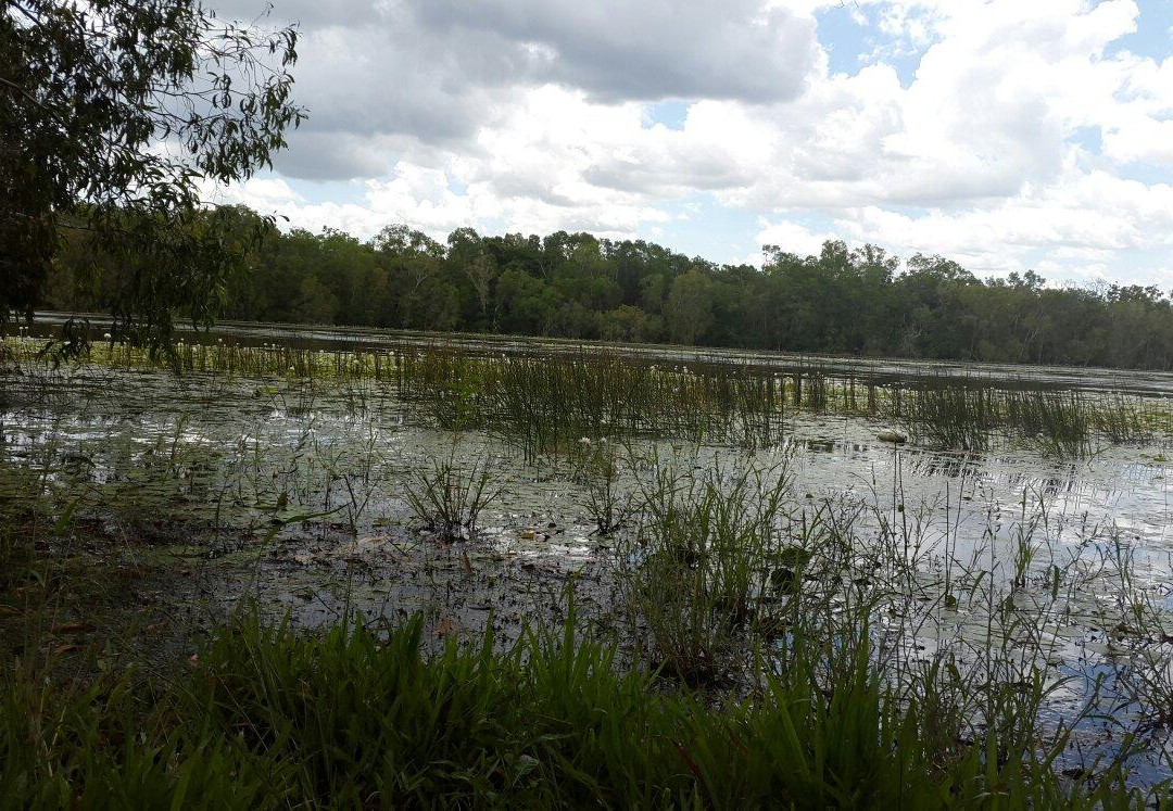 Manton Dam-达尔文市必去景点
