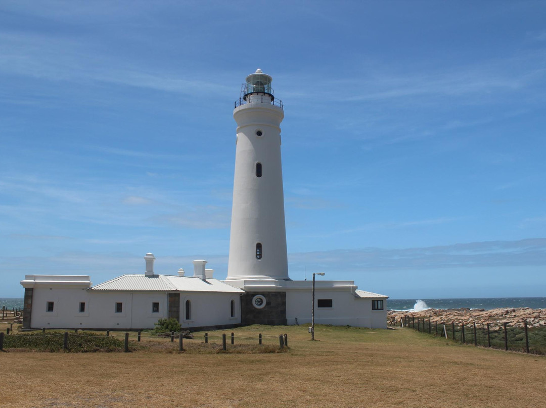 Sanccob Eastern Cape - Penguin Rehabilitation Center-Cape St Francis必去景点