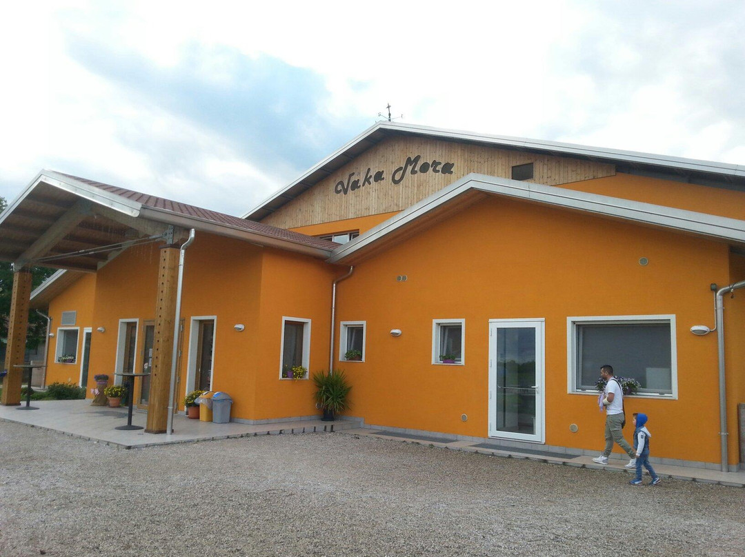 Azienda Agricola Vaka Mora景点图片