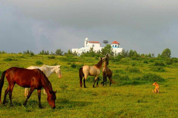 Somalia Security & Tours-Mogadishu必去景点