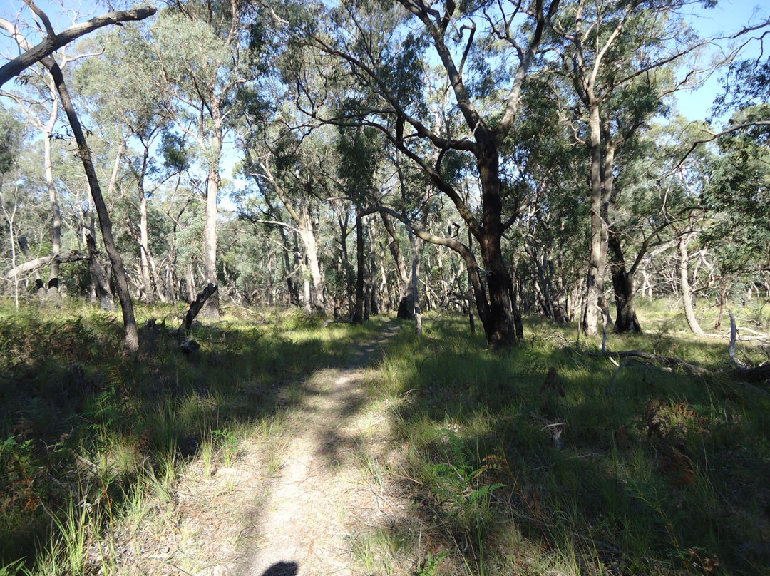 Holey plains state park-Rosedale必去景点