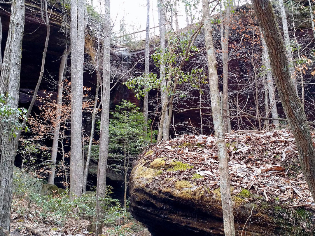 Rock Bridge Canyon Equestrian Park景点图片