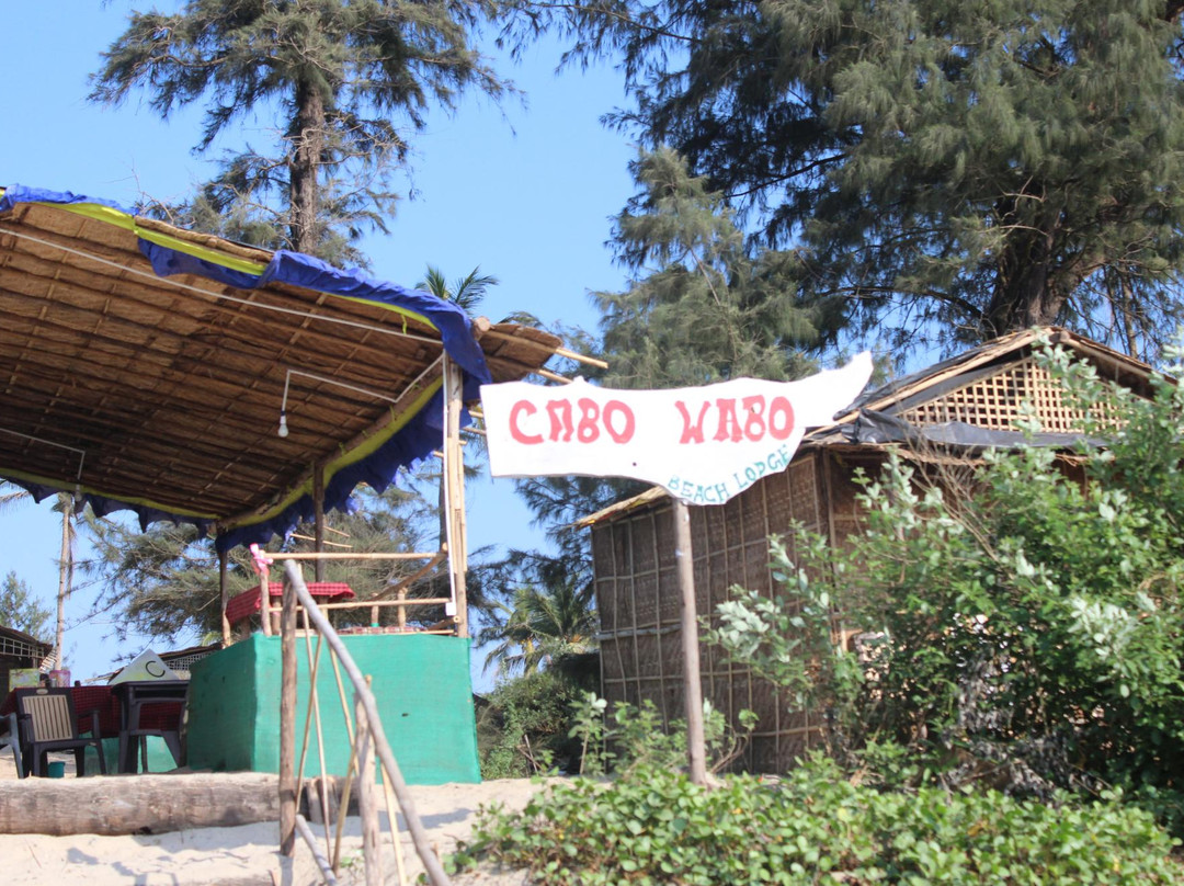 Cabo Wabo Beach Lodge主图