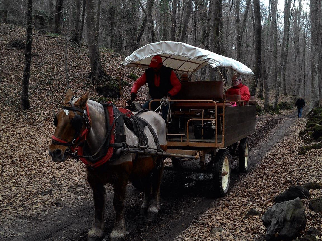 Carrilet (Camping Lava)景点图片
