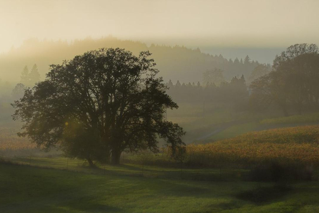 Benton-Lane Winery-Monroe必去景点