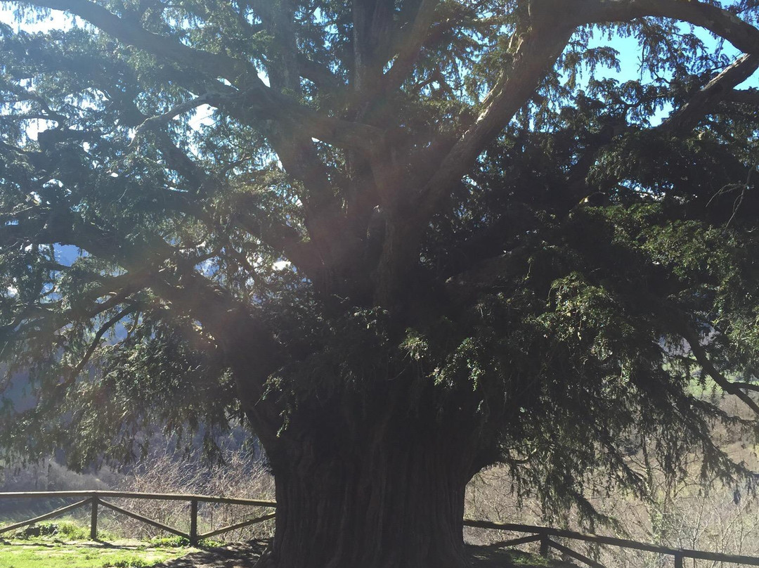 Bermiego-Quiros Municipality必去景点