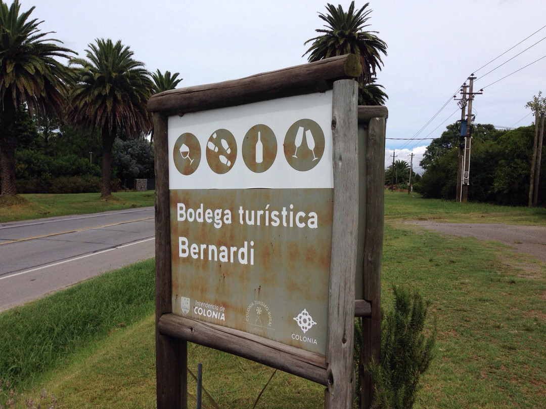 Bernardi Winery-科洛尼亚·德尔萨克拉门托城必去景点