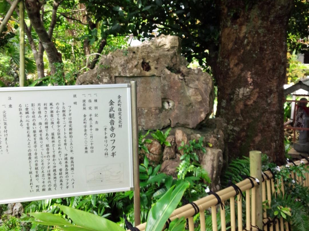 Nisshudo Cave景点图片