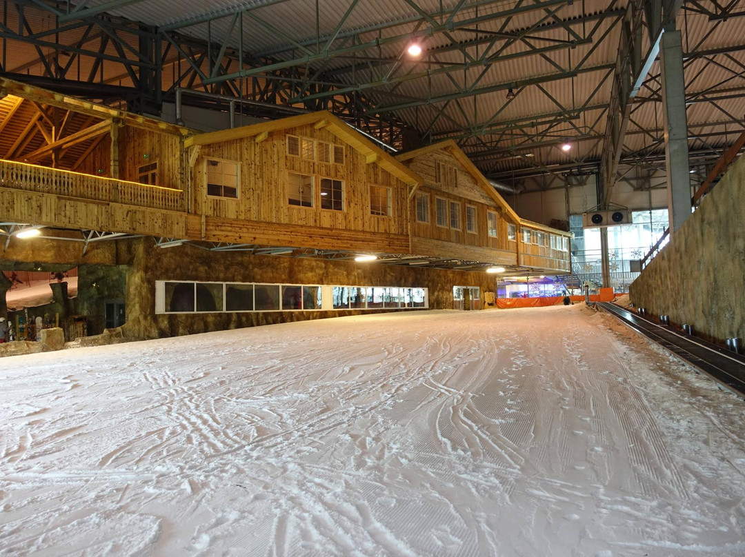 Snow Arenas