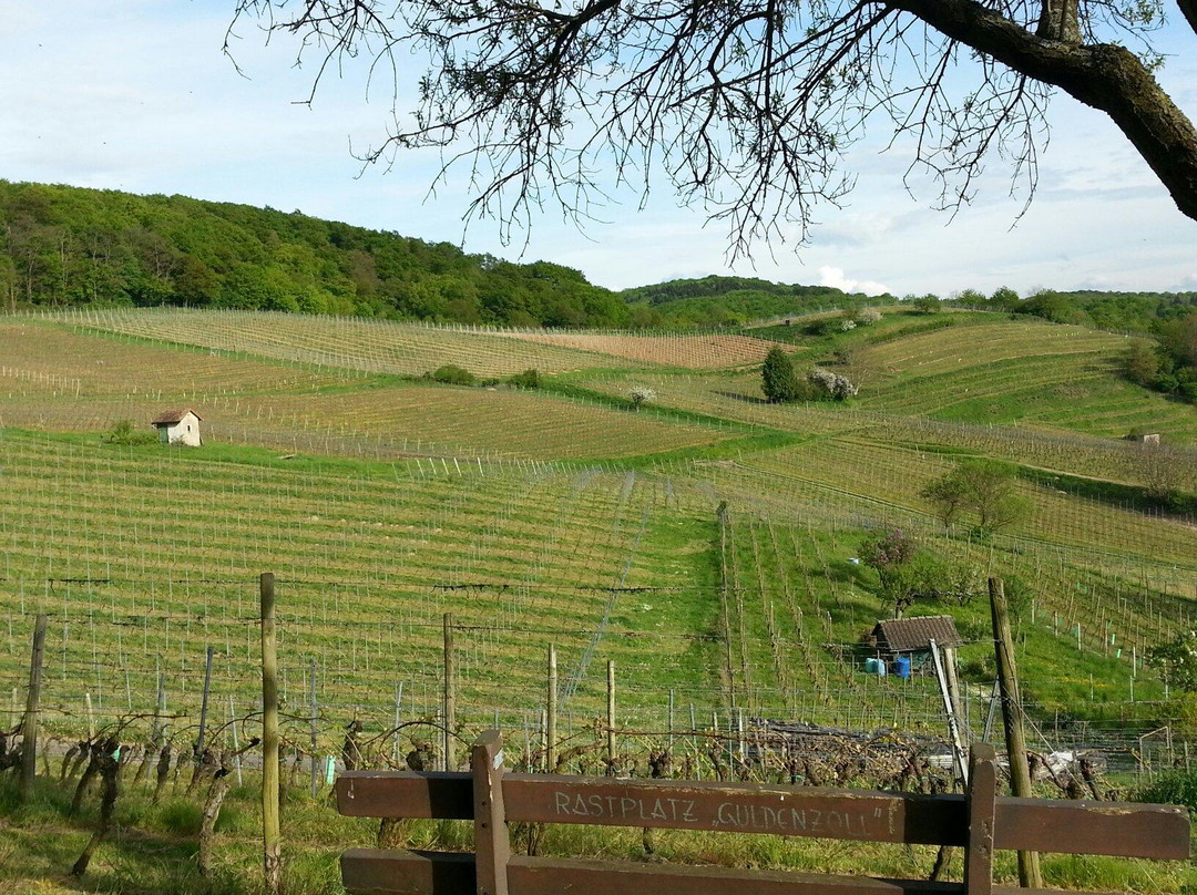 Viniversum Bergstrasse-Heppenheim必去景点