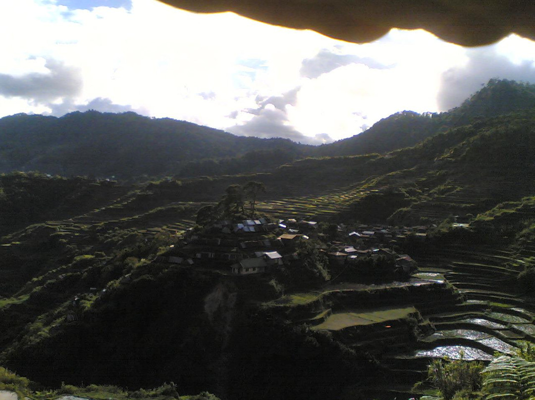 Maligcong Rice Terraces景点图片