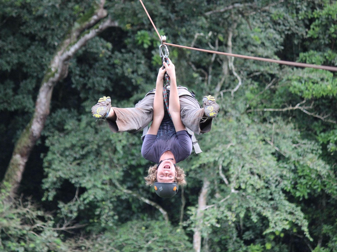 Griffin Falls-金贾必去景点