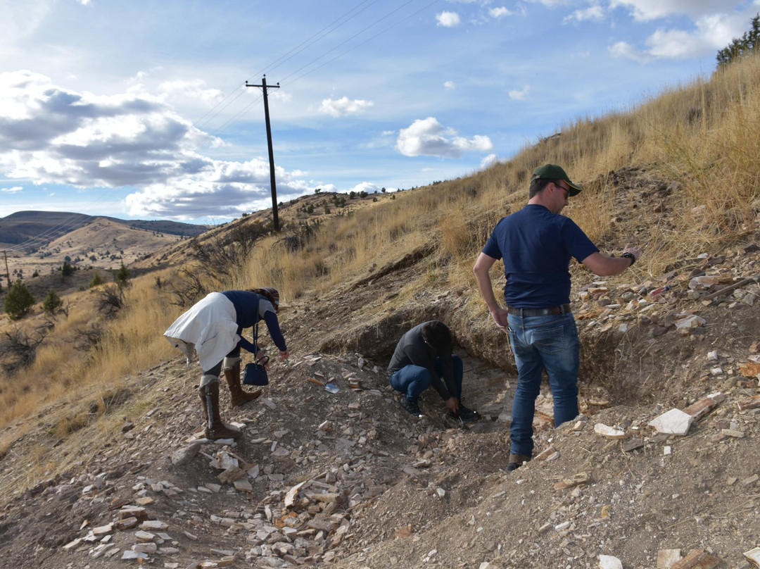 Fossils at Wheeler High School-福尔斯必去景点