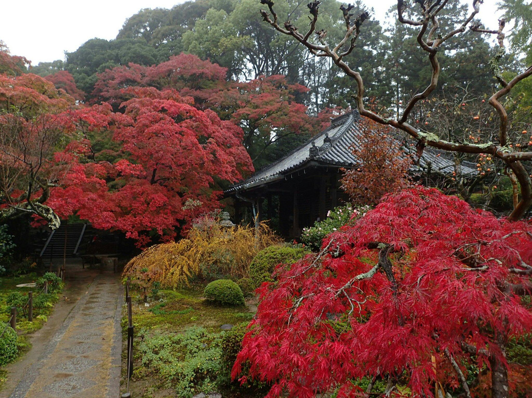 Daimon-ji Temple-茨木市必去景点